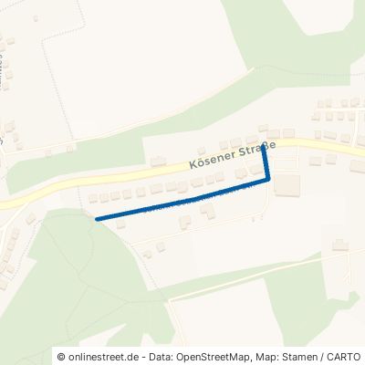 Johann-Sebastian-Bach-Straße 06618 Naumburg Naumburg 