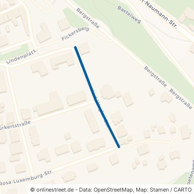 Karl-Wagler-Straße Leisnig 