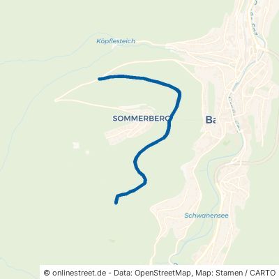 Wildbader Hangweg Bad Wildbad Sommerberg 