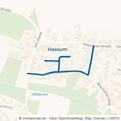 Willibrordstraße Goch Hassum 