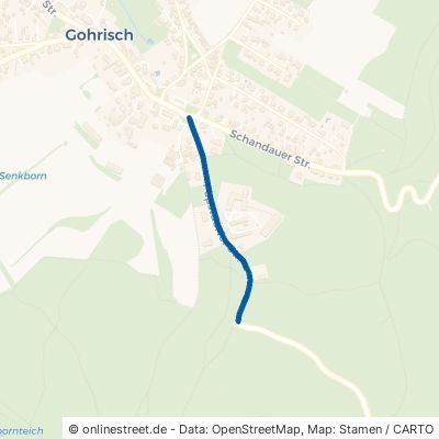Papstdorfer Straße Gohrisch Kurort Gohrisch 