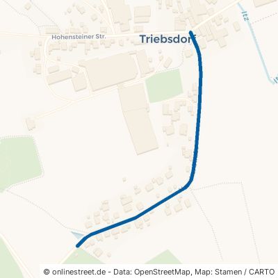 Haarther Straße Ahorn Triebsdorf 