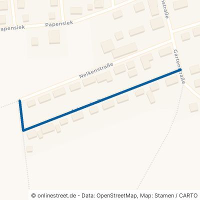 Asternstraße 37586 Dassel Sievershausen 