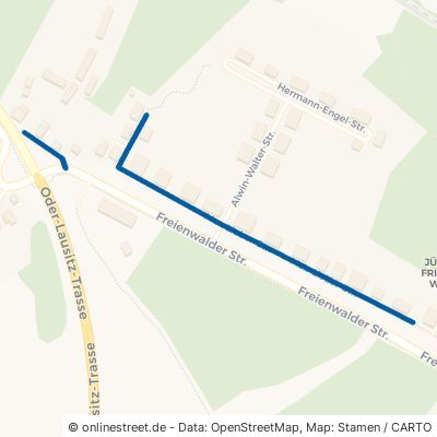 Max-Lieber-Straße 16269 Wriezen 