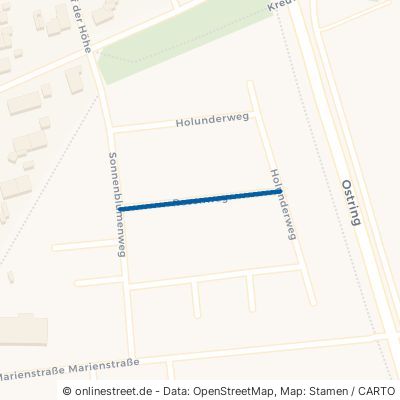 Rosenweg 46359 Heiden 