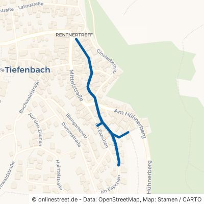 Lindelbachstraße 35619 Braunfels Tiefenbach 