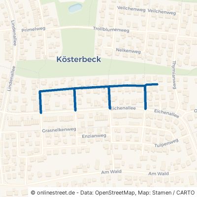 Ginsterweg Roggentin Kösterbeck 