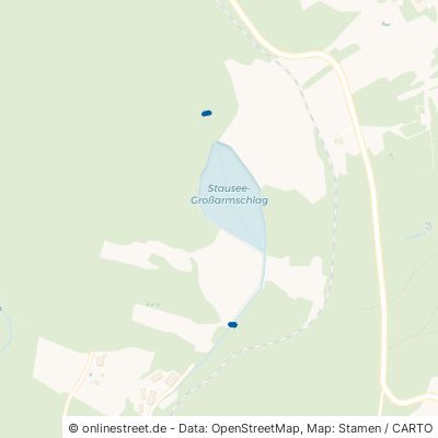 Steinforelle Grafenau Großarmschlag 