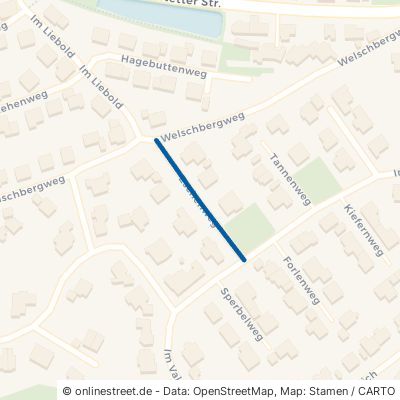 Eschenweg 74847 Obrigheim 