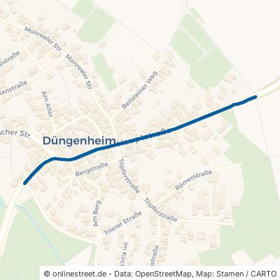 Hauptstraße Düngenheim 