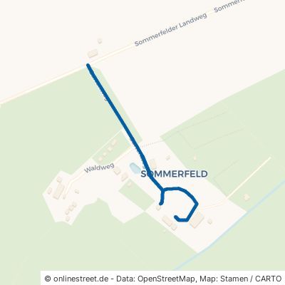 Gartenweg Prohn Sommerfeld 