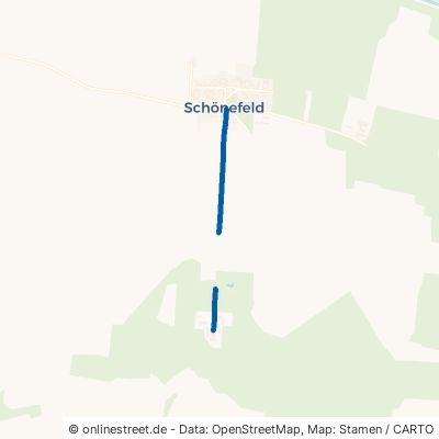 Birkenallee Beelitz Schönefeld 