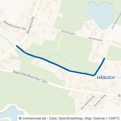 Am Schulweg Haselbachtal Häslich 