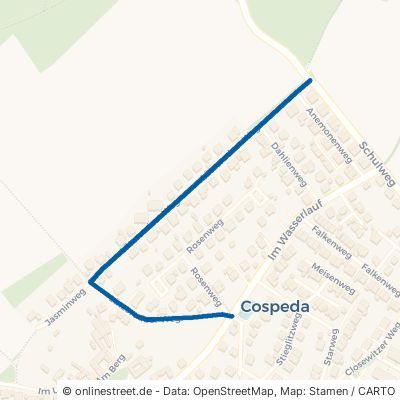 Lützerodaer Weg 07751 Jena Cospeda Cospeda