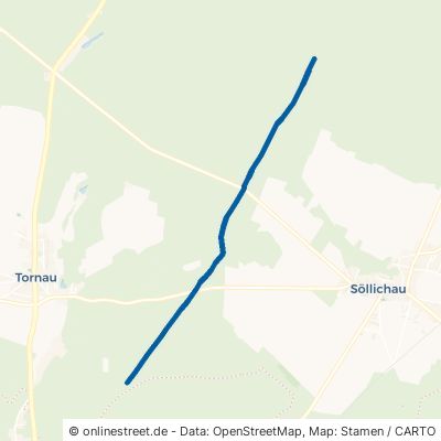 Reinharzer Weg 06772 Gräfenhainichen Tornau 