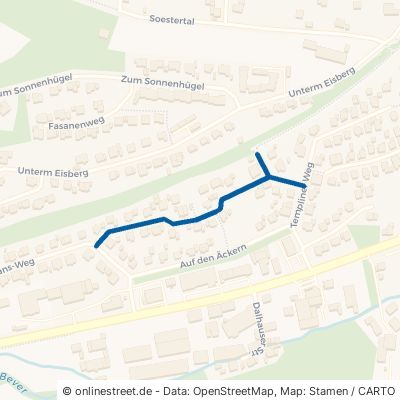 Johannes-Diedrich-Straße Beverungen 