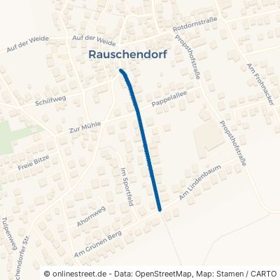 Dornhecke Königswinter Rauschendorf 