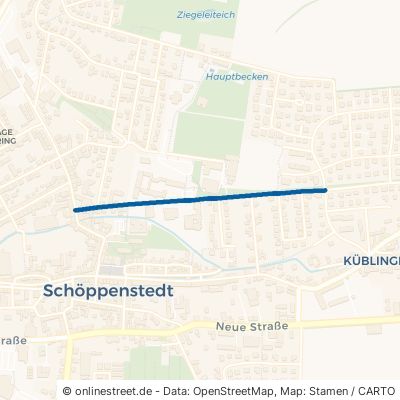 Wallpforte Schöppenstedt 
