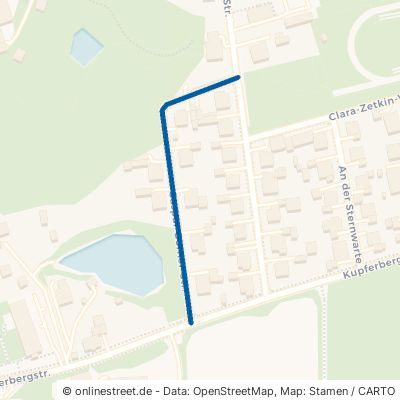 Caspar-Borner-Straße Großenhain 