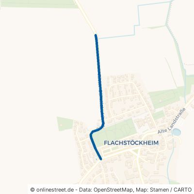 Ritter-Schwicheldt-Allee Salzgitter Flachstöckheim 