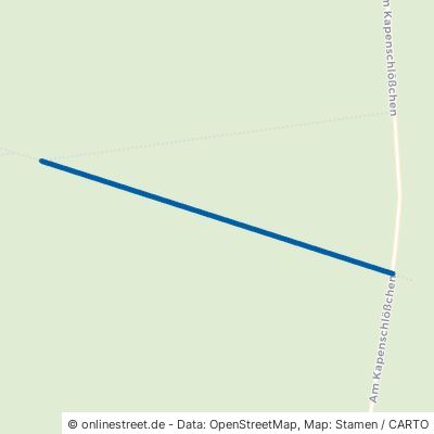 Wildapfelweg Oranienbaum-Wörlitz Oranienbaum 