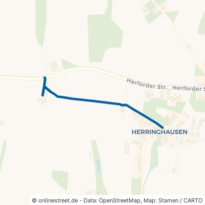 Viehstraße Enger Herringhausen 