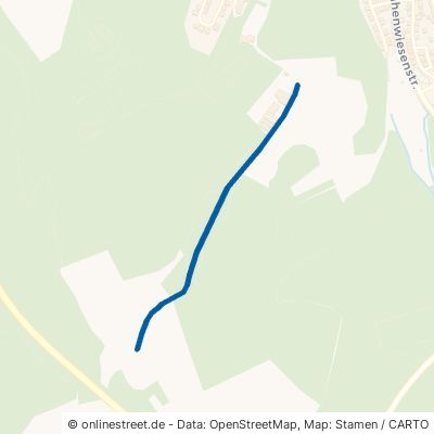 Viehfahrtweg Kämpfelbach Ersingen 