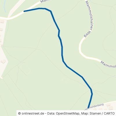 Kammer-Weg Königstein im Taunus Mammolshain 