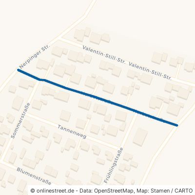 Herbststraße Nittenau Fischbach 