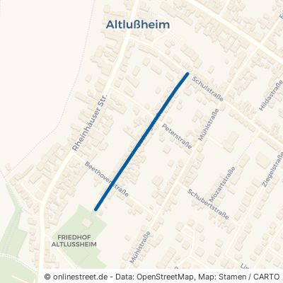 Ludwigstraße 68804 Altlußheim 