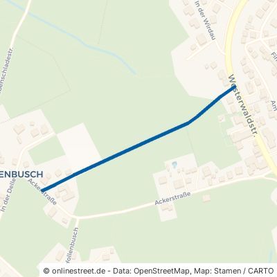 Rosenweg 53773 Hennef (Sieg) Uckerath 