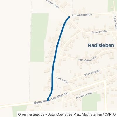 Lange Dorfstr. 06493 Ballenstedt Radisleben 