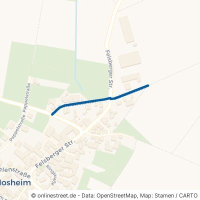 Heiderosenstraße 34323 Malsfeld Mosheim Mosheim