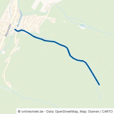 Prestenbergweg Münstertal Untermünstertal 