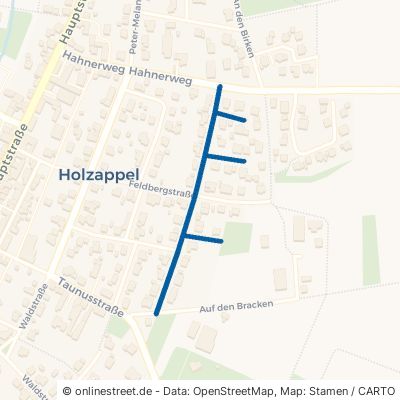 Freiherr-vom-Stein-Straße 56379 Holzappel 