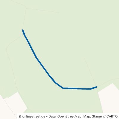 Tannen Weg Seckach Großeicholzheim 