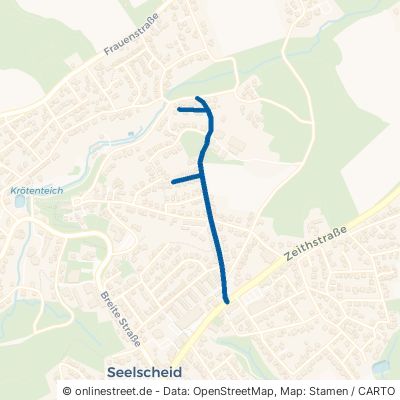 Driescher Straße Neunkirchen-Seelscheid Seelscheid 