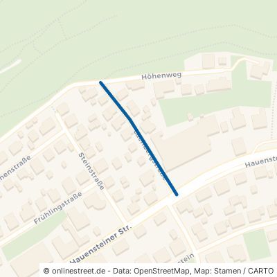 Lachbergstraße 66994 Dahn 
