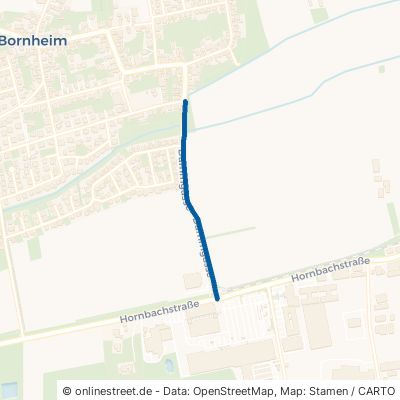 Dammgasse Bornheim 
