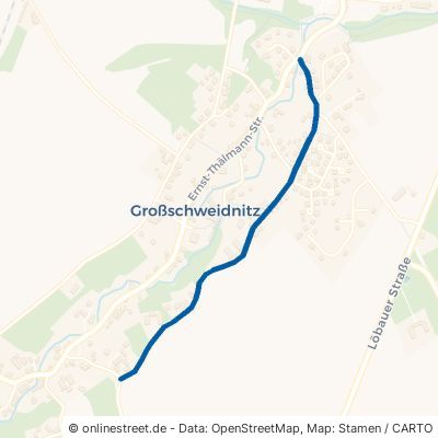 Gustav-Albert-Straße Großschweidnitz 