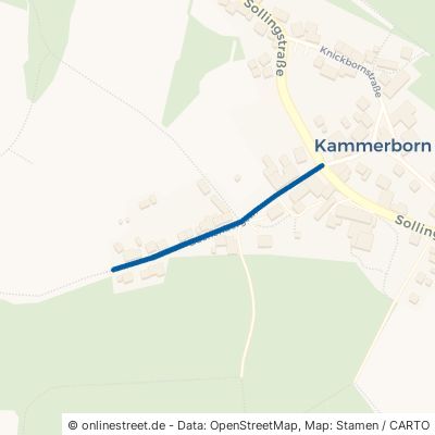 Buchenbergstraße Uslar Kammerborn 