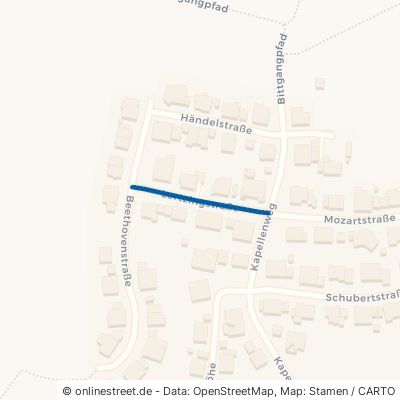 Lortzingstraße Mörlenbach 