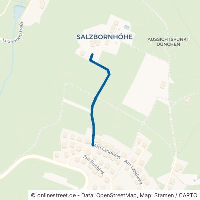 Salzbornhöhe Boppard Weiler 