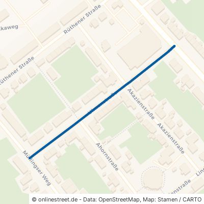 Ulmenstraße 59494 Soest 