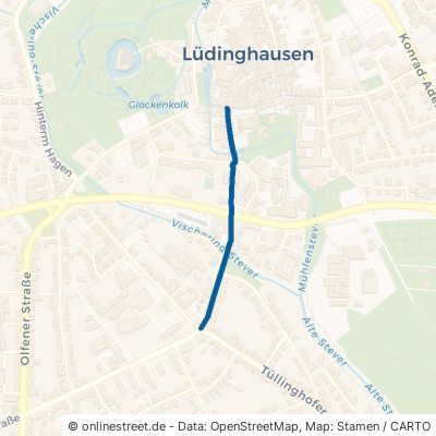 Wolfsberger Straße 59348 Lüdinghausen 