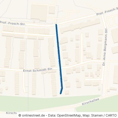 Prof.-Jorns-Straße 99310 Arnstadt 