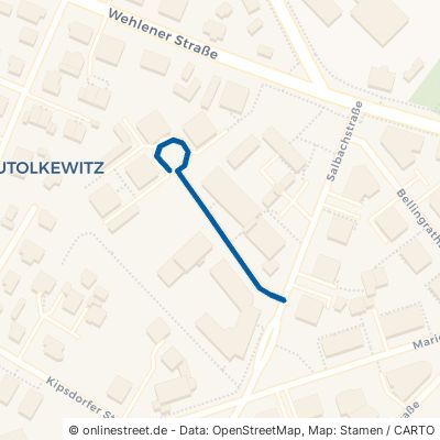 Theodor-Friedrich-Weg Dresden Tolkewitz/Seidnitz-Nord 