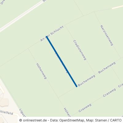 Hyazinthenweg 21339 Lüneburg Mittelfeld 