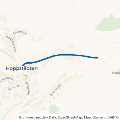 Meisenheimer Straße Hoppstädten 