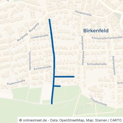 Birkenstraße 75217 Birkenfeld 